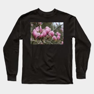 Spring Pink Long Sleeve T-Shirt